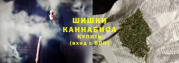 гидра Новозыбков