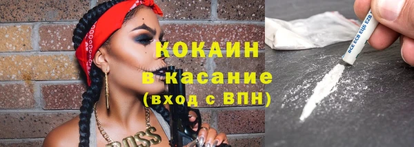 гидра Новозыбков