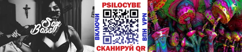 блэк спрут Краснослободск Галлюциногенные грибы GOLDEN TEACHER